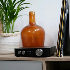 Усилитель Octavio Amp 65W Black