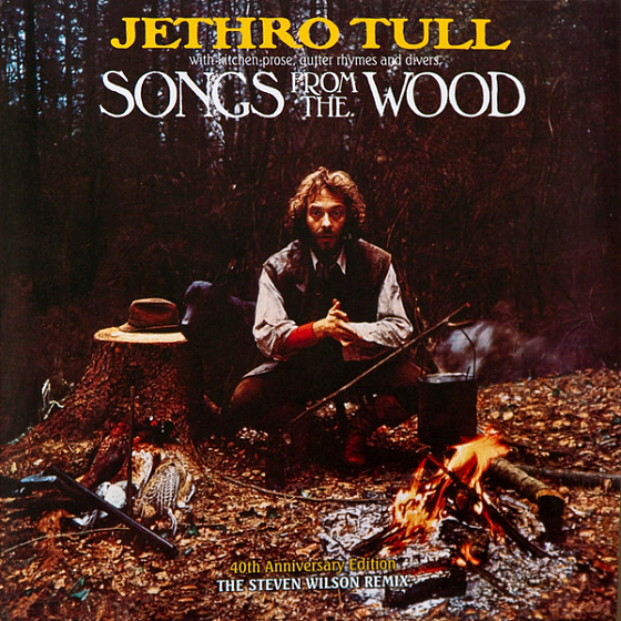 Пластинка Jethro Tull - Songs From The Wood - рис.0