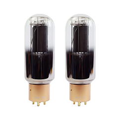 Радиолампа PSVANE 845 T II