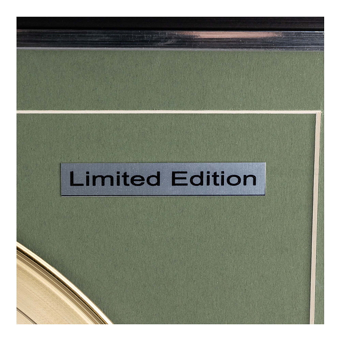 Сувенир Декор Золотой диск The Beatles - White Album разноцветный - рис.5