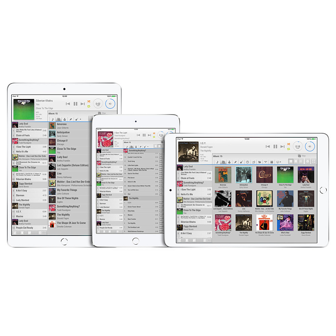 Сетевой аудиоплеер Esoteric N-01XD Silver - рис.10