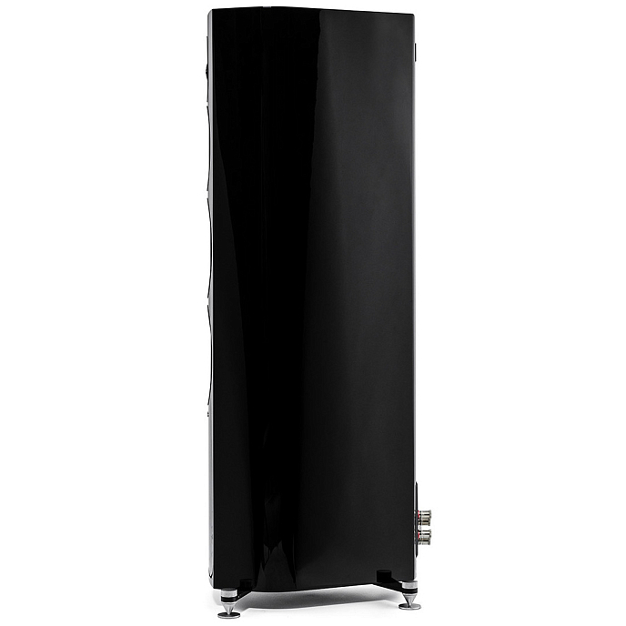 Напольная акустика Sonus Faber Sonetto V Black - рис.2