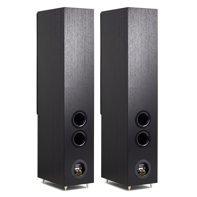 Напольная акустика Radiotehnika Vita 2.05 Black Ash - рис.5