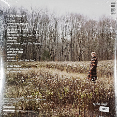 Виниловая пластинка Taylor Swift – Evermore 2LP