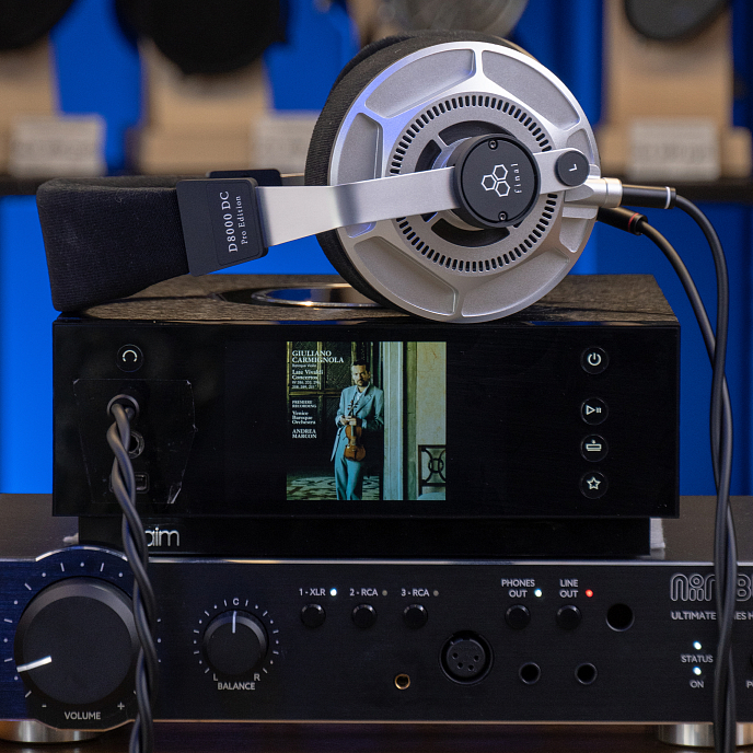 High End наушники Final Audio D8000 DC Pro Edition Silver - рис.23