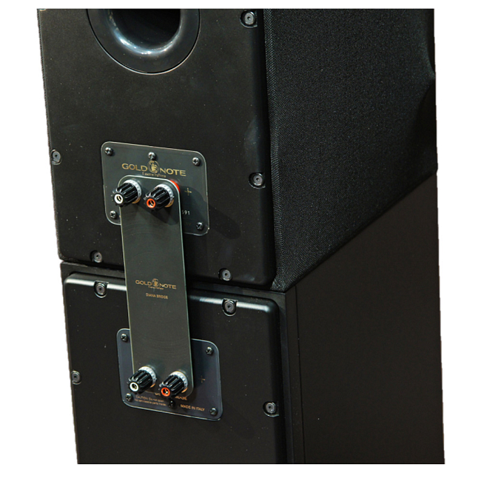Сабвуфер Gold Note Diana III Subwoofer Black - рис.14