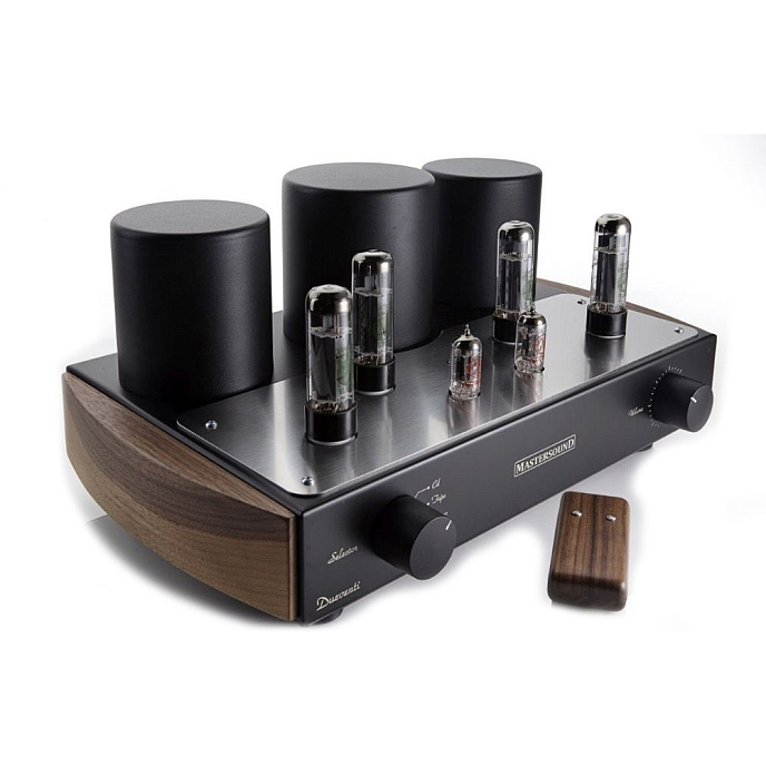 Интегральный усилитель Mastersound Dueventi Black Wood - рис.6