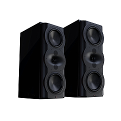 Полочная акустика Perlisten Audio R5m Piano Black