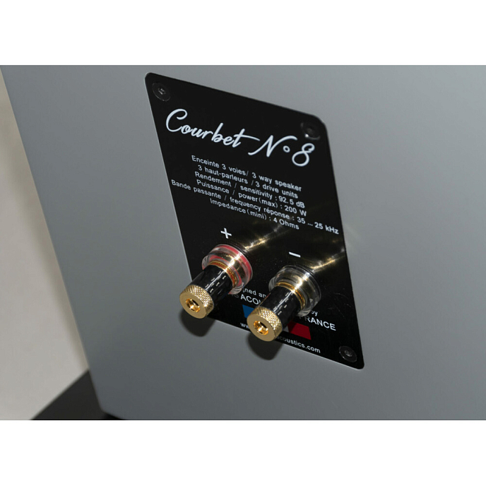 Напольная акустика Davis Acoustics Courbet N 8 Grey Matt - рис.10