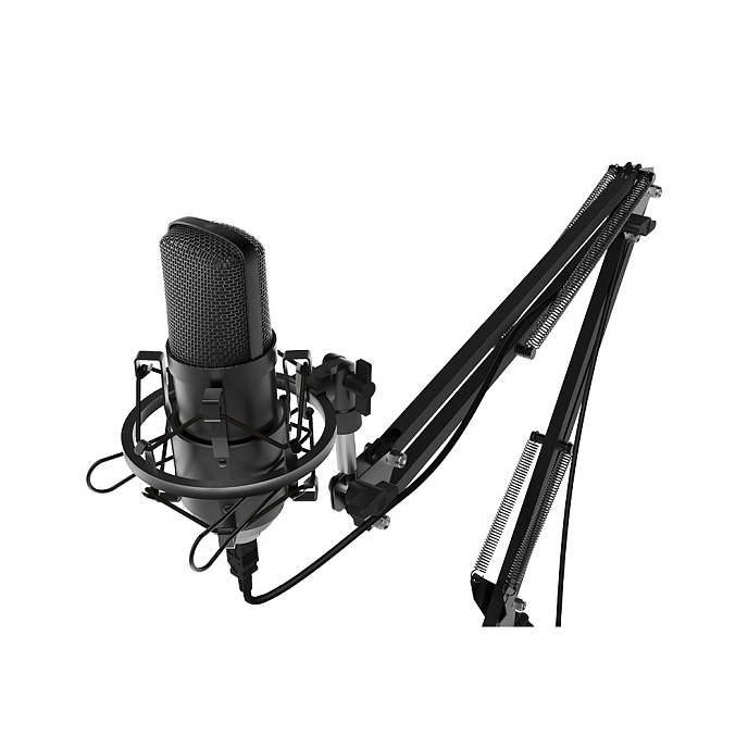 Микрофон для стриминга и игр Ritmix RDM-169 USB Black - рис.1