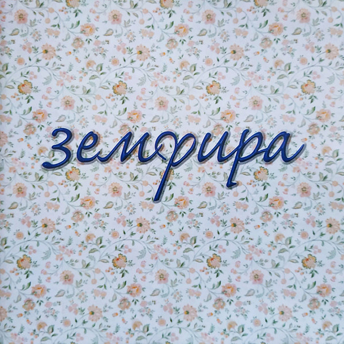 Пластинка Земфира - Земфира LP - рис.0