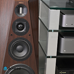 Напольная акустика Musatoff AS-10 Walnut