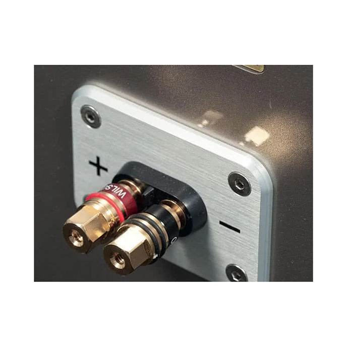 Напольная акустика Wilson Audio Sabrina X Galaxy Gray - рис.3