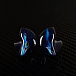 Кастомные наушники Noble Audio Kadence Custom - рис.4
