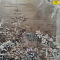 Balmorhea - Pendant World LP