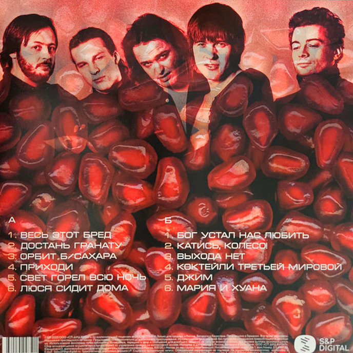 Виниловая пластинка Сплин - Гранатовый альбом LP - рис.1