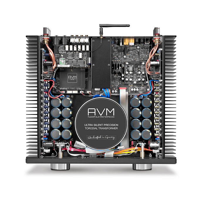 Интегральный усилитель AVM Audio A 6.3 Silver - рис.2