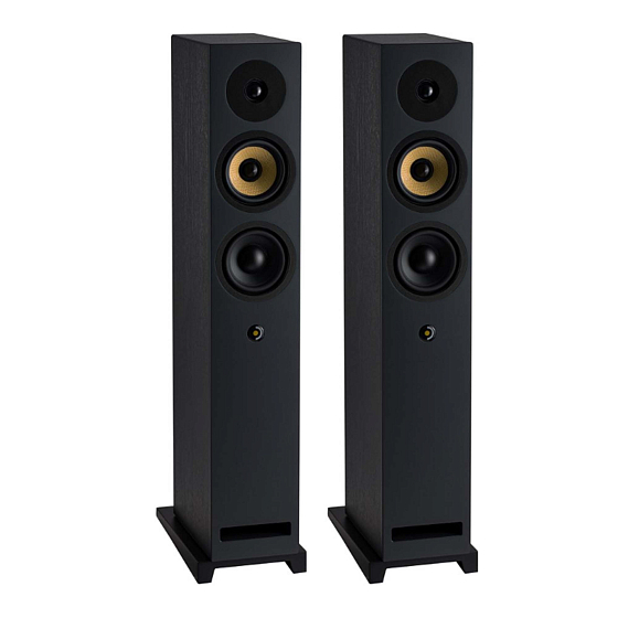 Напольная акустика Davis Acoustics Krypton 6 Technik Black - рис.0