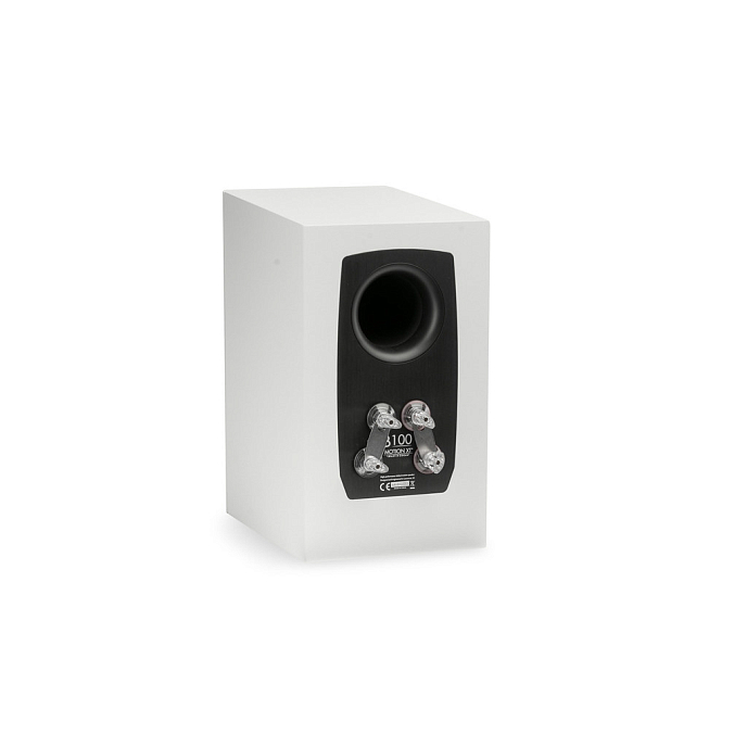 Полочная акустика Martin Logan Motion XT B100 Bookshelf Satin White - рис.6