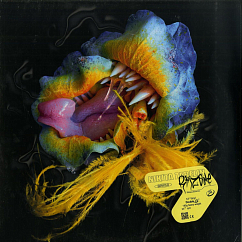 Виниловая пластинка Nikita Zabelin - Rhizome - 2LP