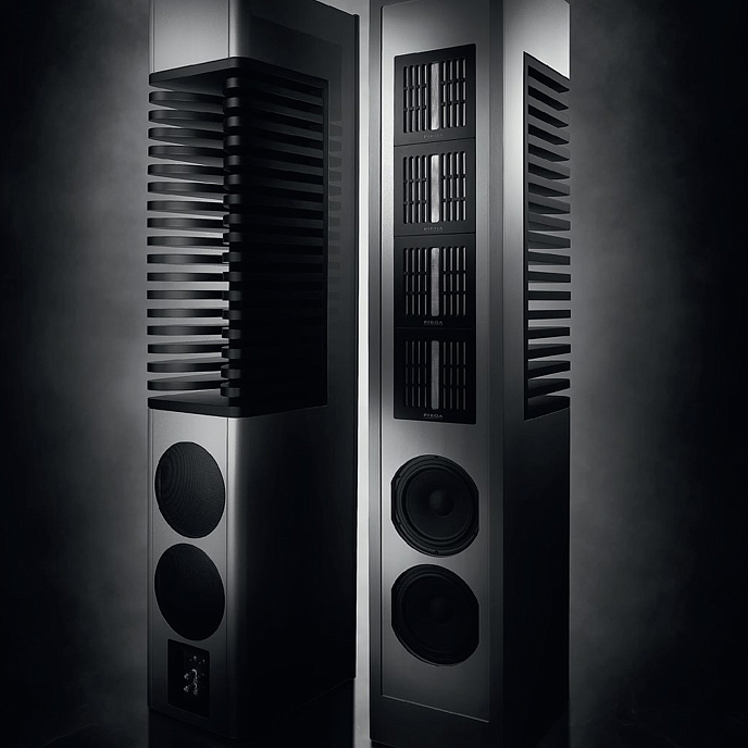 Напольная акустика Piega Master Line Source 2 Baffle Anodised Black/Zebrano - рис.5