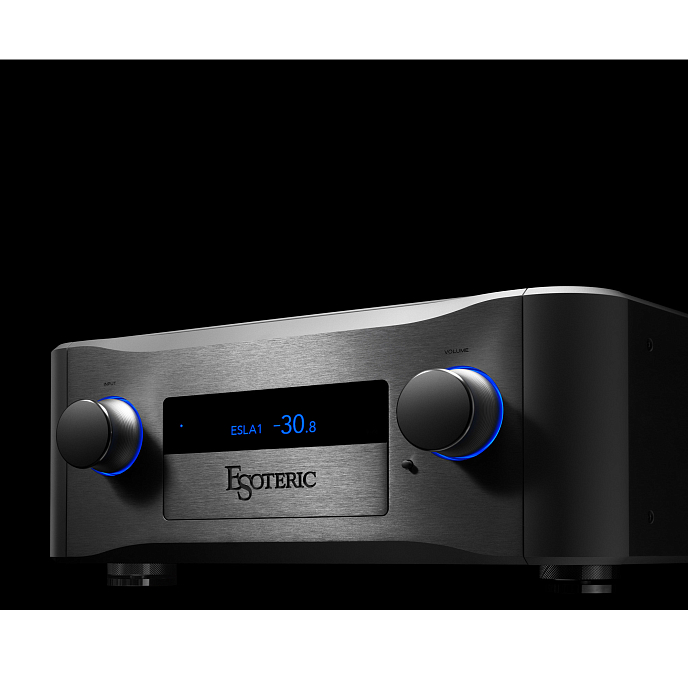 Интегральный усилитель Esoteric F-02 Silver - рис.5