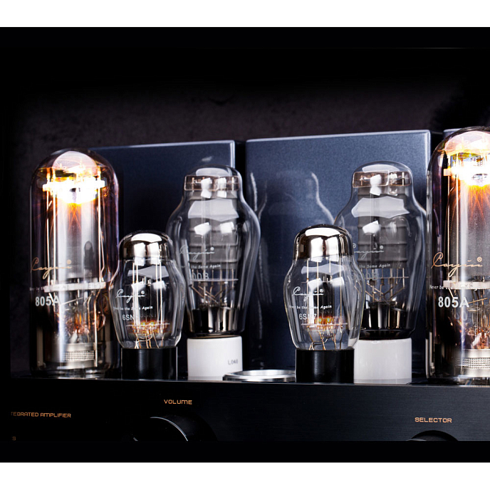 Интегральный усилитель Cayin CS-805A Black - рис.6