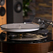 Проигрыватель винила Rega Planar 10 (Aphelion 2 MC) Black - рис.10
