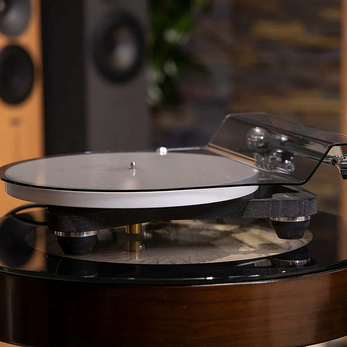 Проигрыватель винила Rega Planar 10 (Aphelion 2 MC) Black - рис.10