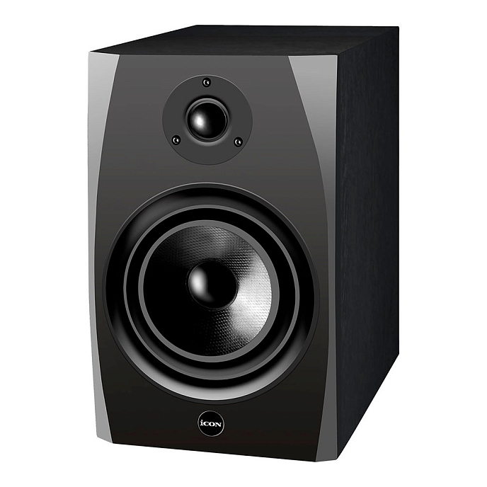 Студийный монитор iCON SX-6A - рис.1