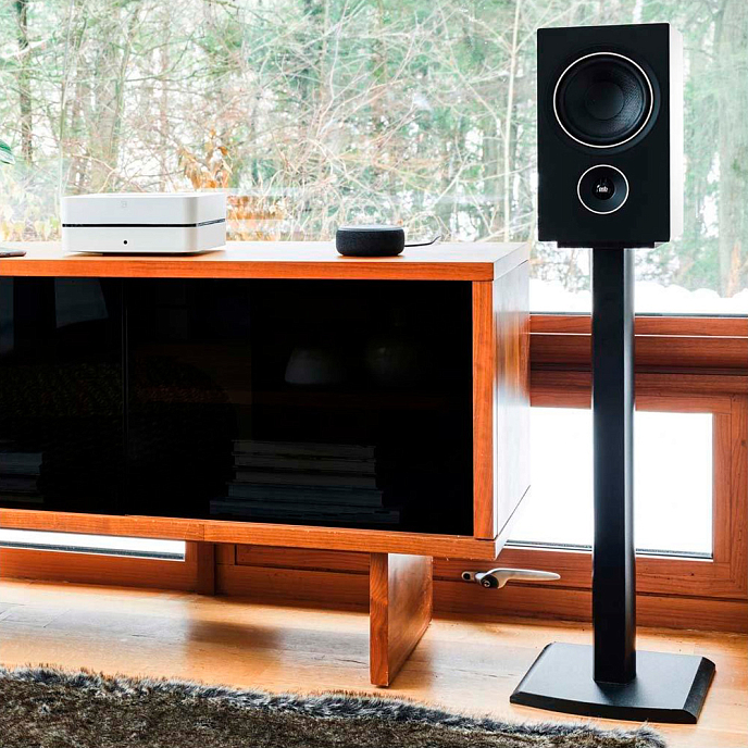 Полочная акустика PSB AM5 Black - рис.2