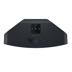 Беспроводная акустика Bluesound Pulse mini 2i Black