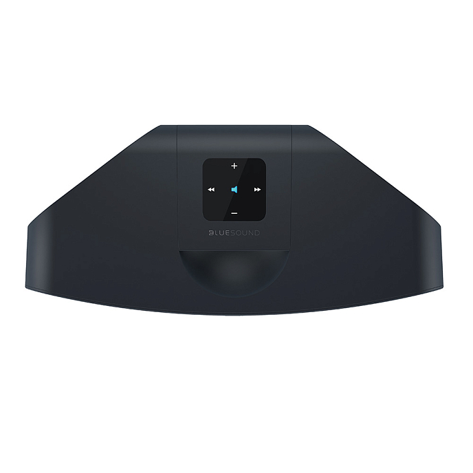 Беспроводная акустика Bluesound Pulse mini 2i Black - рис.2