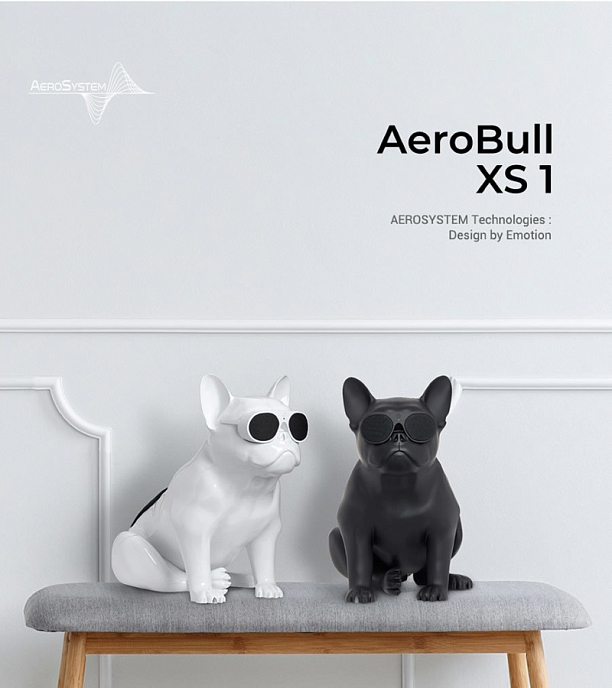 Портативная колонка AeroSystem Aerobull XS1 Matt Black - рис.12