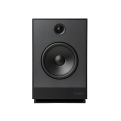 Полочная акустика Guru 12 Satin Black