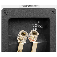 Студийный монитор Premiera MS-6 Black