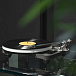 Проигрыватель винила Rega Planar 10 (Aphelion 2 MC) Black - рис.11