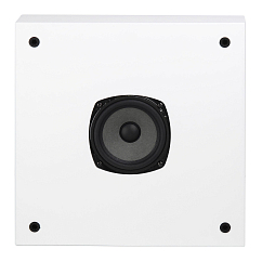 Настенная акустика Radiotehnika Vita 2.01 White Ash