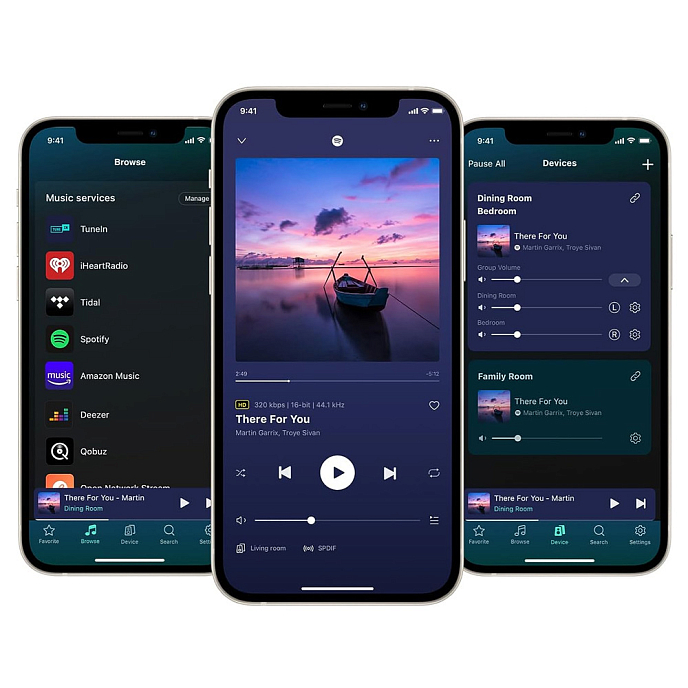 Интегральный усилитель WiiM AMP Space Gray - рис.13