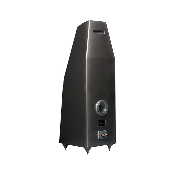 Напольная акустика Wilson Audio Sabrina X Carbon - рис.1