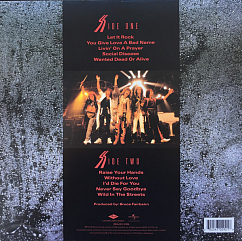 Виниловая пластинка Bon Jovi - Slippery When Wet