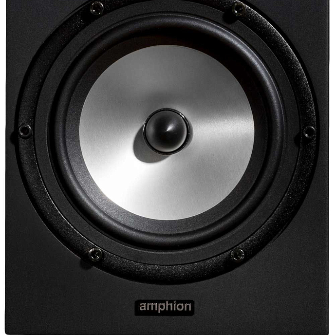 Студийный монитор Amphion Two18 Black - рис.7