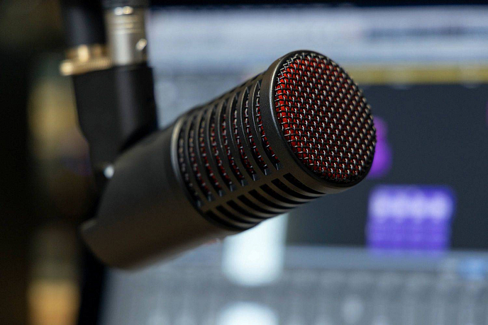 Микрофон SE Electronics DYNACASTER - рис.6