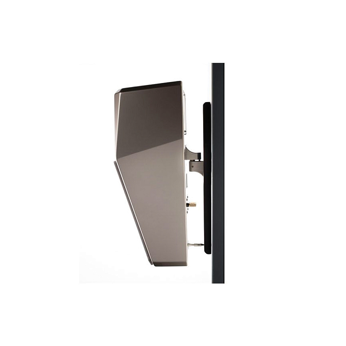 Настенная акустика Wilson Audio Alida Carbon - рис.1