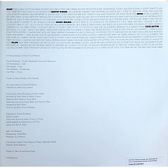 Пластинка Daniel Blumberg – On&On (Coloured) LP