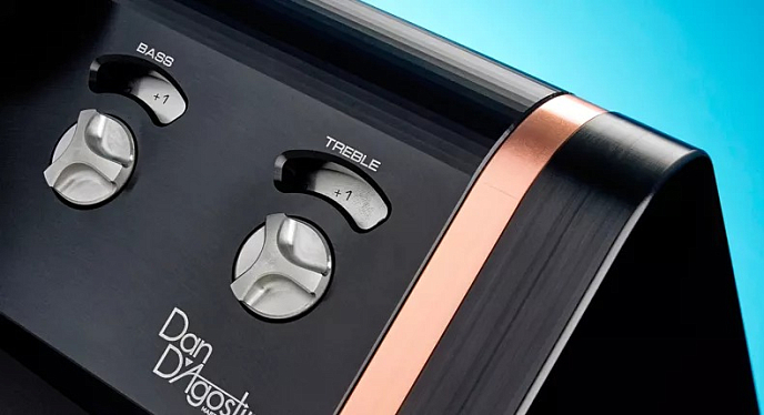 Интегральный усилитель Dan D'Agostino Momentum Integrated Amplifier Black - рис.5