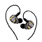 Kiwi Ears Etude