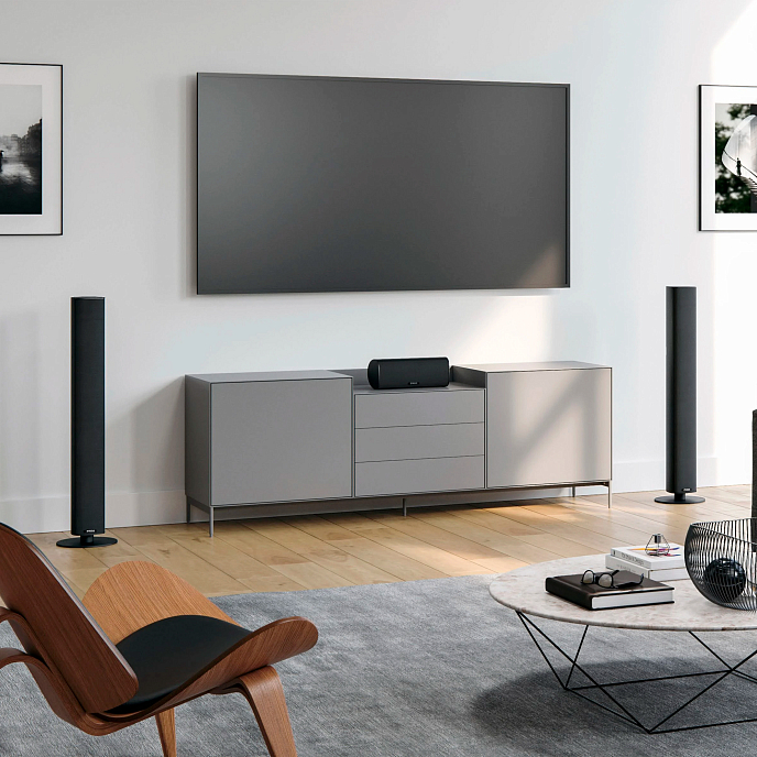 Напольная акустика Piega Ace 50 Black - рис.6