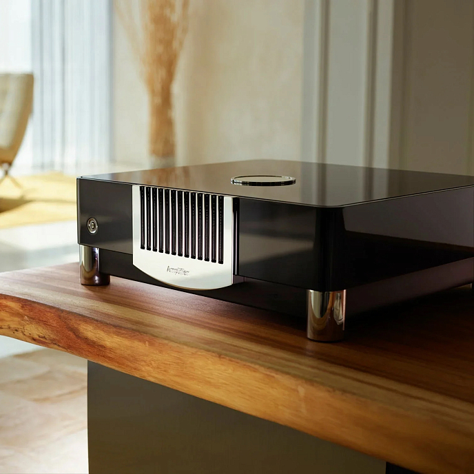 Усилитель мощности MBL N15 Mono Power Amplifier Piano White Gold - рис.6