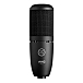 Микрофон студийный AKG P120 - рис.0
